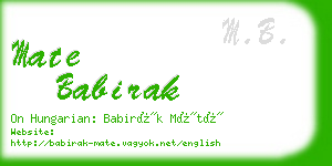 mate babirak business card